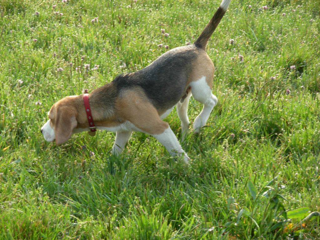Teo 
